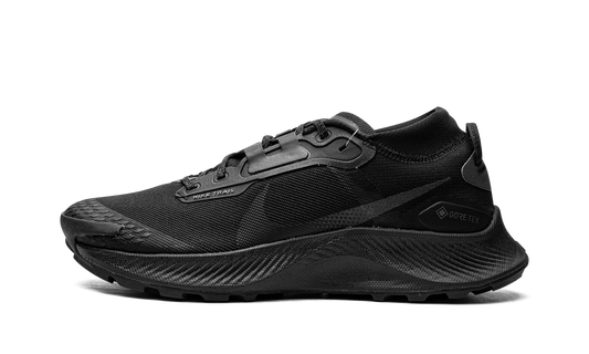 Pegasus Trail 3 GTX  Gore-Tex - Triple Black