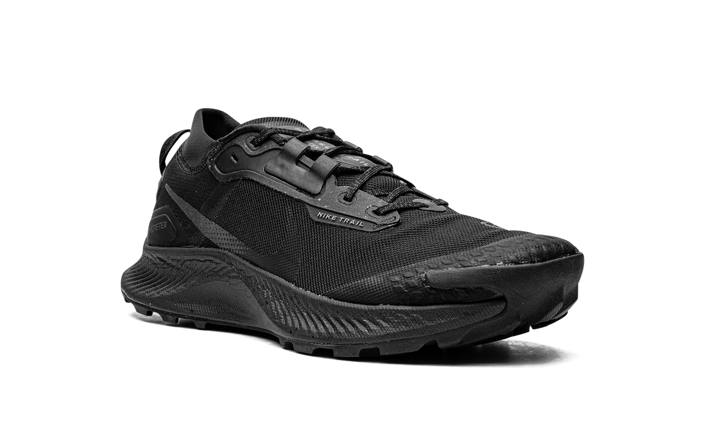 Pegasus Trail 3 GTX  Gore-Tex - Triple Black