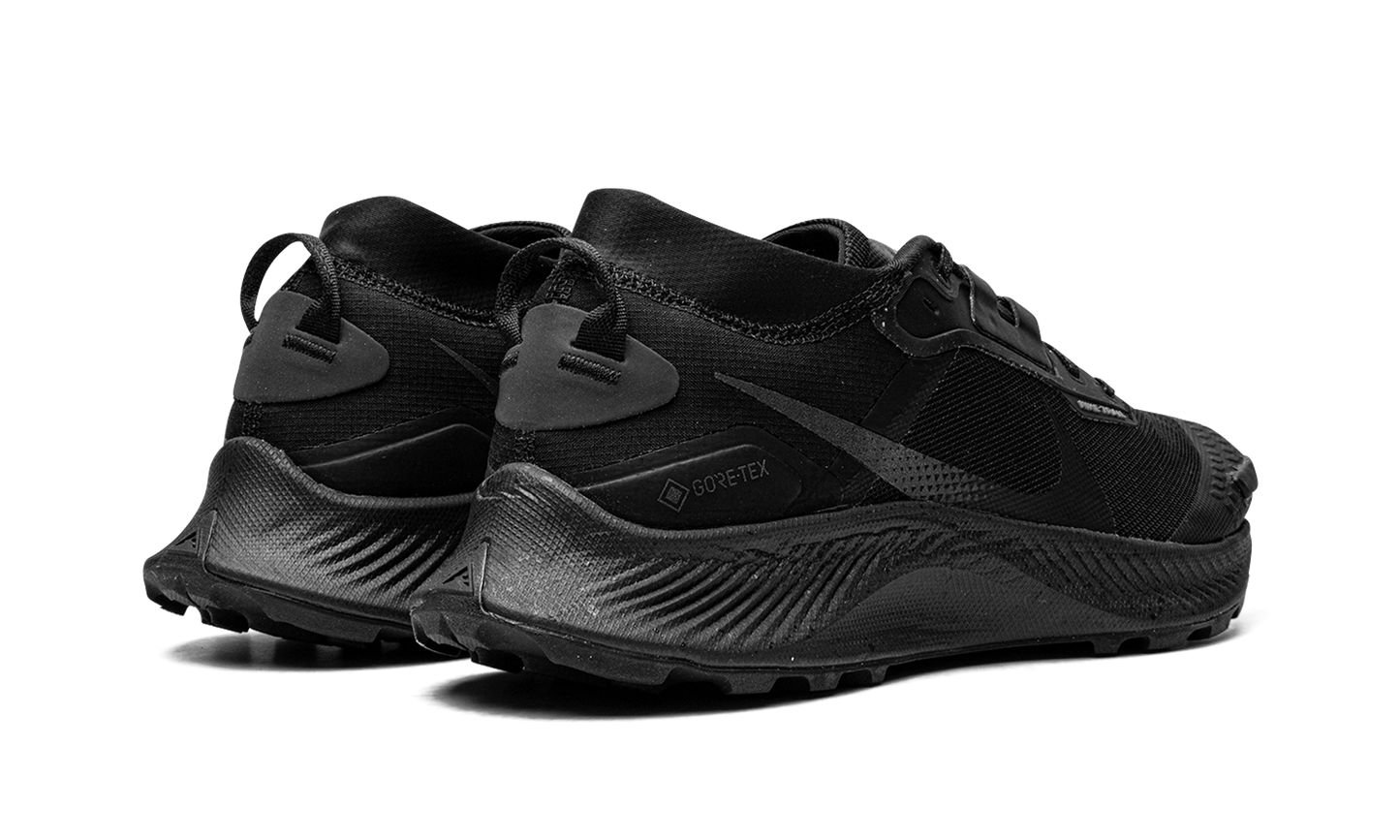 Pegasus Trail 3 GTX  Gore-Tex - Triple Black