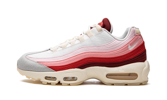 Air Max 95 QS  Anatomy of Air