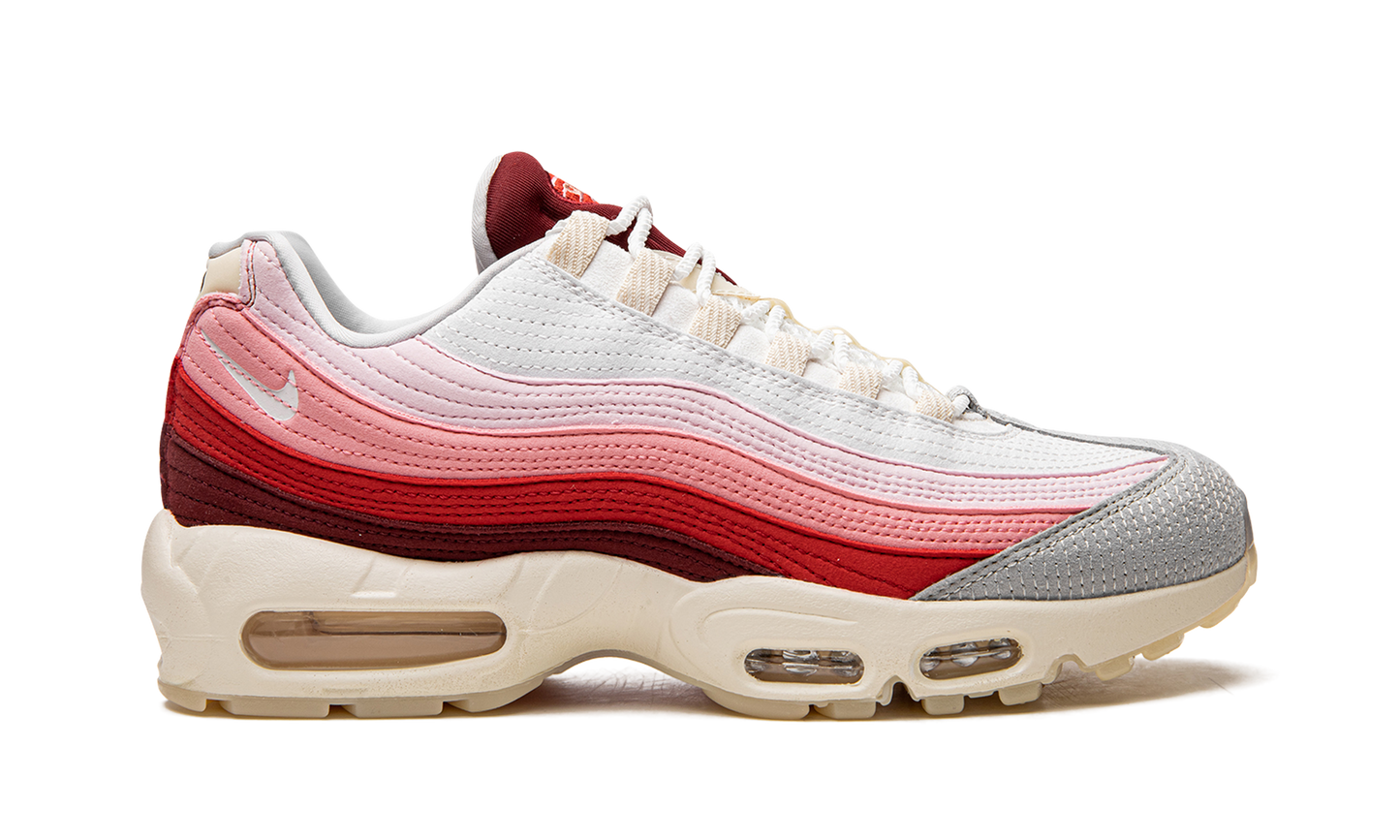 Air Max 95 QS  Anatomy of Air