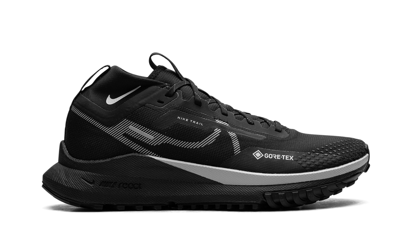 WMNS React Pegasus Trail 4 GTX  Reflect Silver