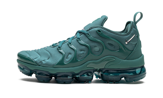 Air Max VaporMax Plus WMNS  Bicoastal